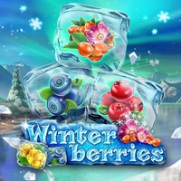 Winters Berriers